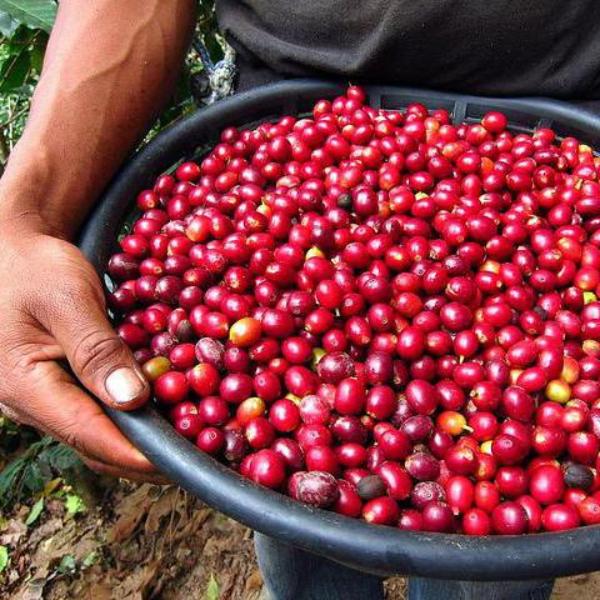 Cherry Cherry Espresso - 500g