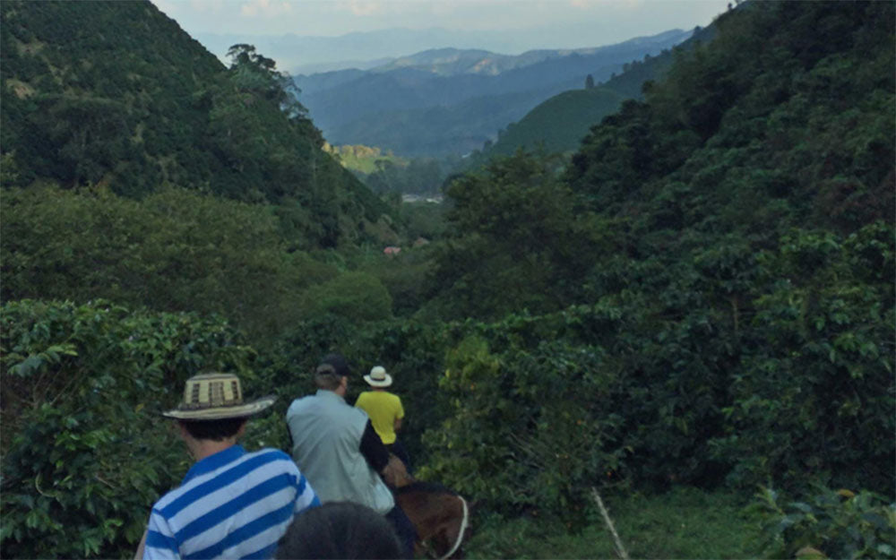 Central America & Carribean
