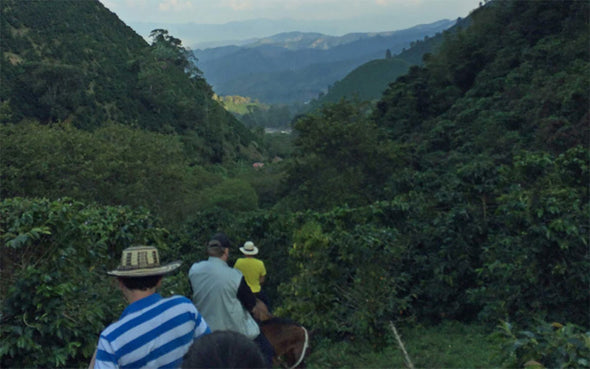 Central America & Carribean