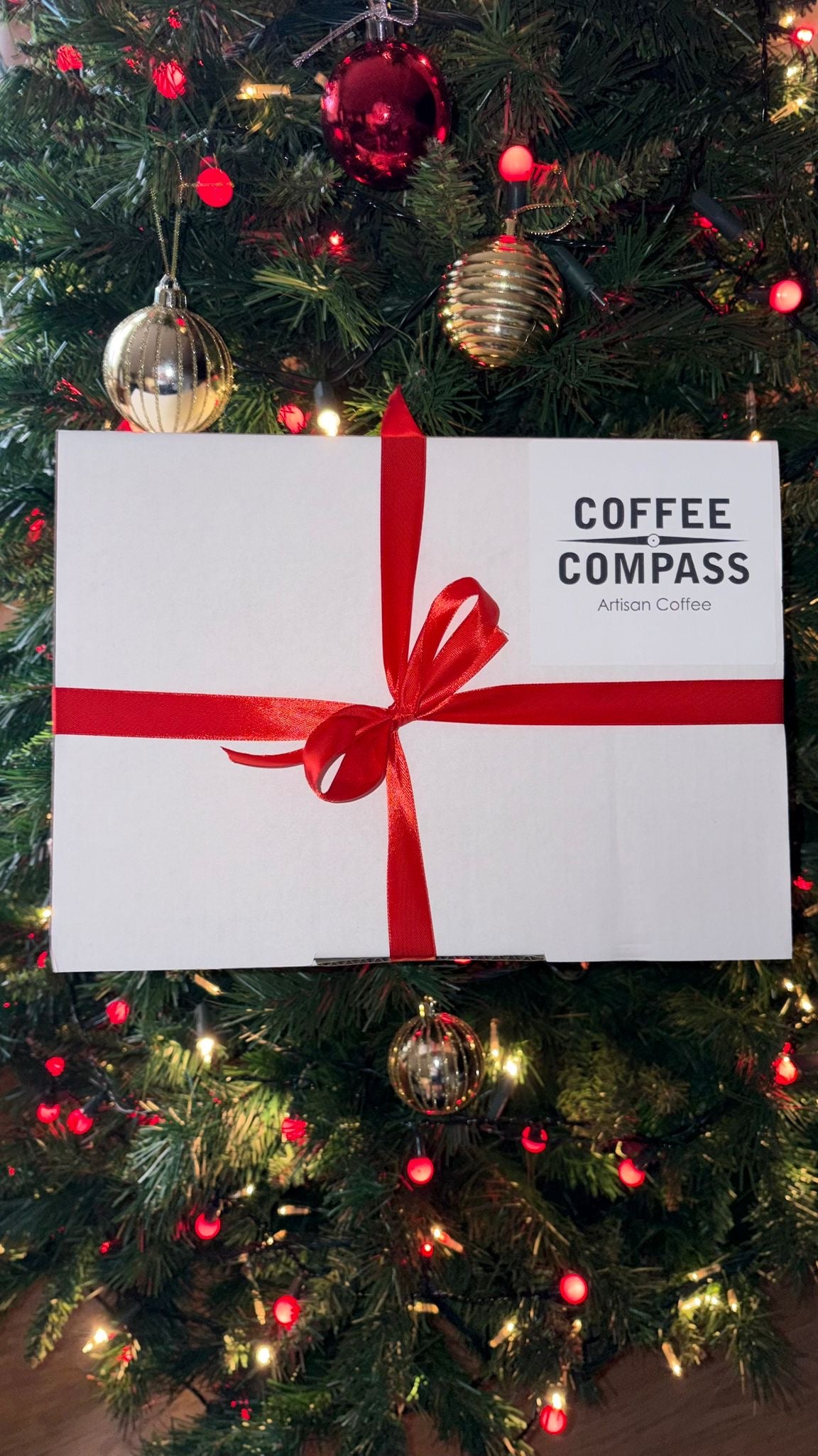 Xmas selection Gift Pack! 🎅