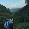 Colombia Finca Las Mercedes la Isla - 500g