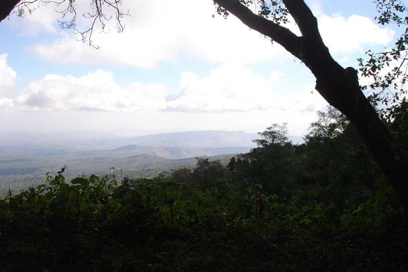 El Salvador Finca El Borbollón Red Bourbon - 500g
