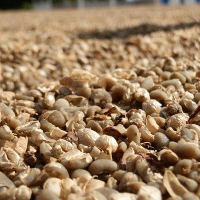 Java Lingtong - 500g