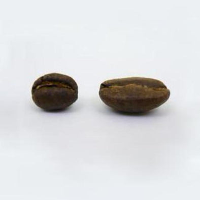 Kenya Peaberry - 500g