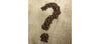 Mystery Coffee Mark 15 - 1kg