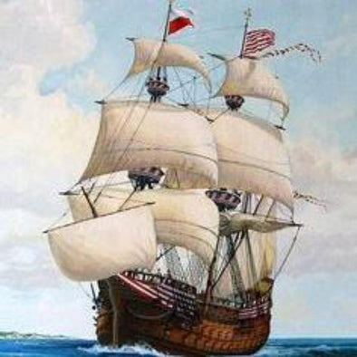 Old Brown Java - 500g